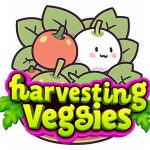 Read more about the article Harvesting Veggies
