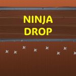 Read more about the article Ninja Drop