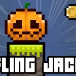 Read more about the article Fling Jack