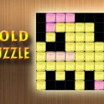Read more about the article GoldPuzzle