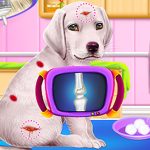 Read more about the article Labrador Puppy Daycare Salon