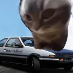Read more about the article Car Stunt Chipi Chipi Chapa Chapa Cat