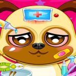 Read more about the article Kids Animal Doctor