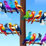 Read more about the article Bird Sort Puzzles