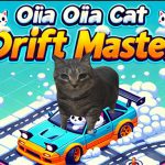 Read more about the article OIIA OIIA CAT Drift Master
