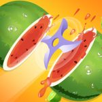 Read more about the article Fruit Slicer Classic