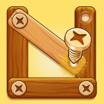 Read more about the article Wood Nuts Bolts Screw