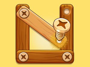 Read more about the article Wood Nuts Bolts Screw