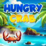 Read more about the article Hungry Crab
