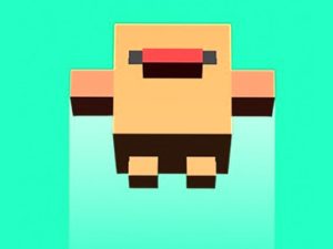 Read more about the article Flap Up