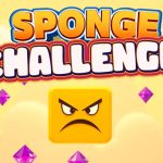 Read more about the article Sponge Challenge