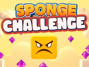 Read more about the article Sponge Challenge