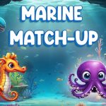 Read more about the article Marine Match Up