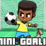 Read more about the article Mini Goalie