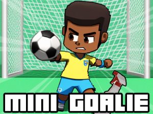 Read more about the article Mini Goalie
