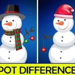 Read more about the article Christmas Spot differences