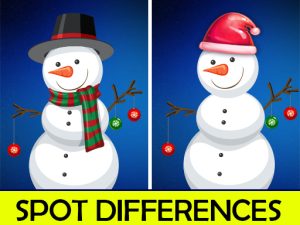 Read more about the article Christmas Spot differences