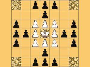 Read more about the article Tafl: viking chess