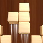 Read more about the article Woodoku Block Puzzle