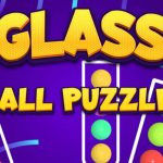 Read more about the article Glass Ball Puzzle