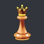 Read more about the article Checkmate Clash