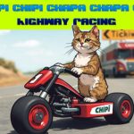 Read more about the article Chipi Chipi Chapa Chapa Cat Highway Racing