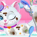 Read more about the article Baby Animals Pet Vet Care