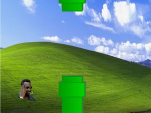 Read more about the article Flappy Smoker