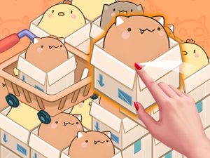 Read more about the article Mart Puzzle Box Cat