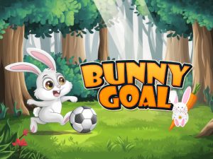 Read more about the article Bunny Goal